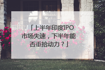 上半年印度IPO市场失速，下半年能否重拾动力？